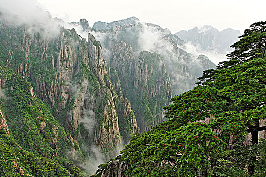 让人昏睡后失忆的药C1B8D97C5-18975
